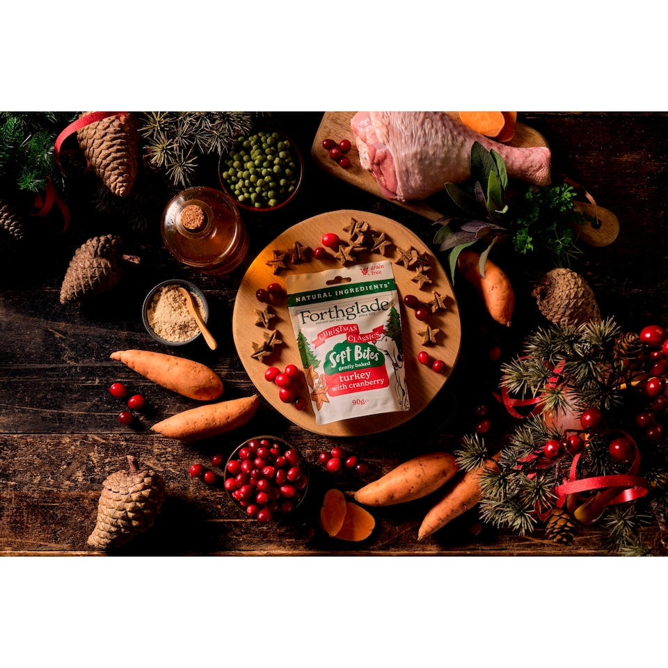 image 1 of Forthglade Christmas Soft Bite Turkey & Cranberry Dog Treats 90g