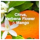image 4 of Lenor Fabric Conditioner Citrus & White Verbena 42 Washes 1.386Ltr