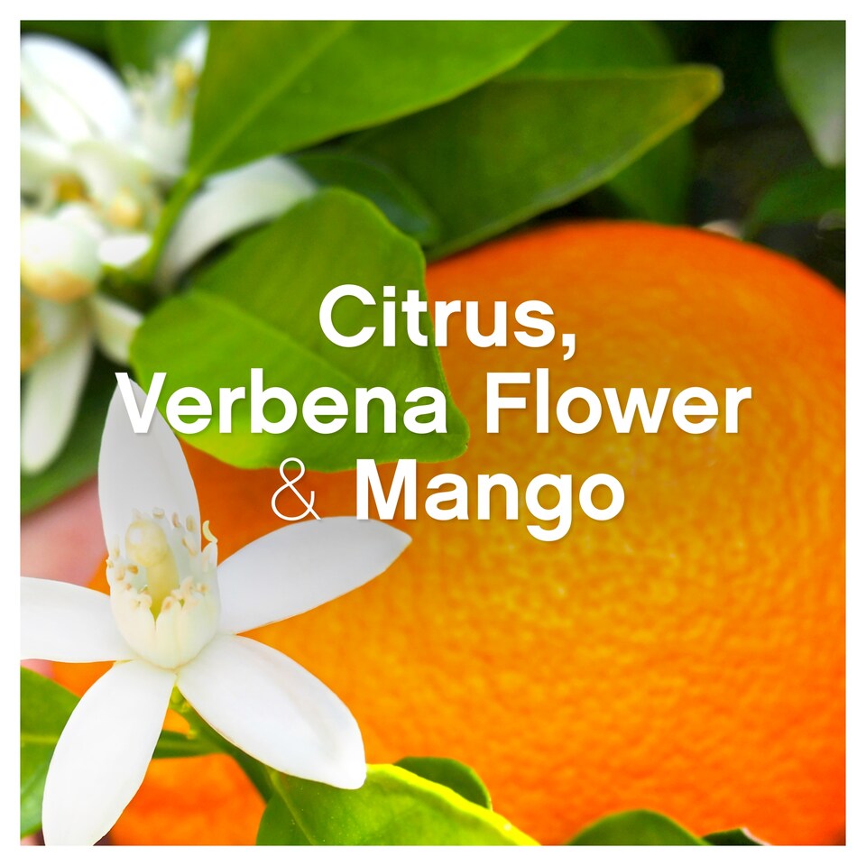 image 1 of Lenor Fabric Conditioner Citrus & White Verbena 42 Washes 1.386Ltr