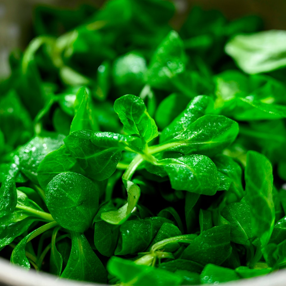 image 1 of Fresh & Naked Just Lambs Lettuce 60G
