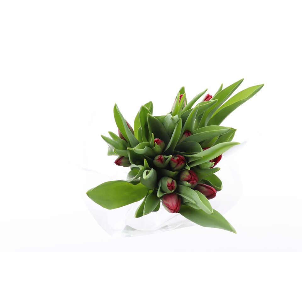 image 1 of Bouquet of Tulips 15 Stems