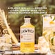image 2 of Jawbox Pineapple & Ginger Gin Liqueur 70cl