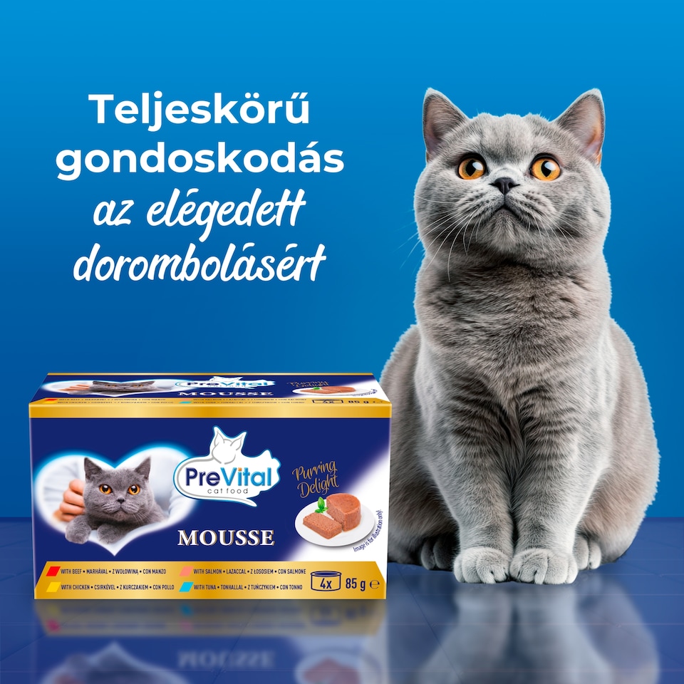 PreVital Mousse nedves macskaeledel, macskatáp felnőtt macskáknak pástétom konzerv 4 x 85 g  1. kép