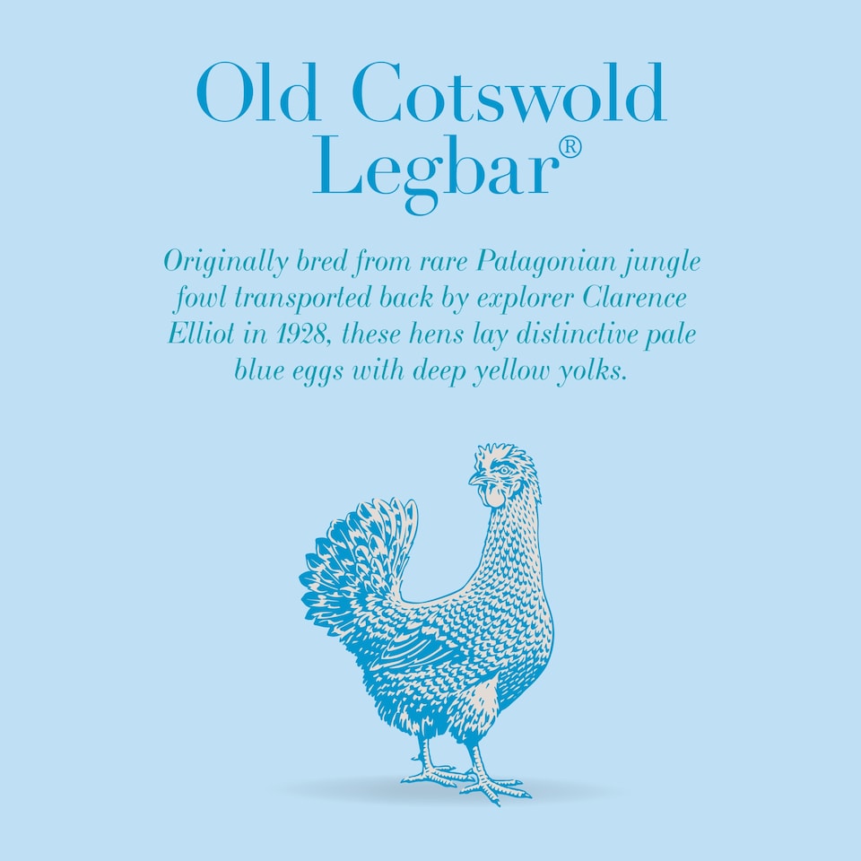 image 1 of Clarence Court Old Cotswold Free Range Eggs 6 Pack