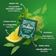 image 3 of Pukka Organic Citrus Yerba Green 20 Sachets 36g
