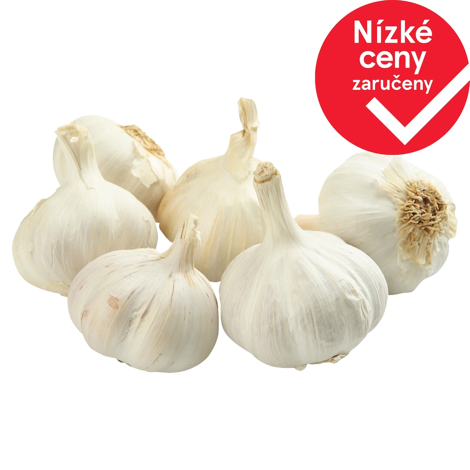 Česnek