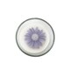 image 2 of F&F Home Sweet Pea Floral Wax Inclusion Candle 260g Assorted