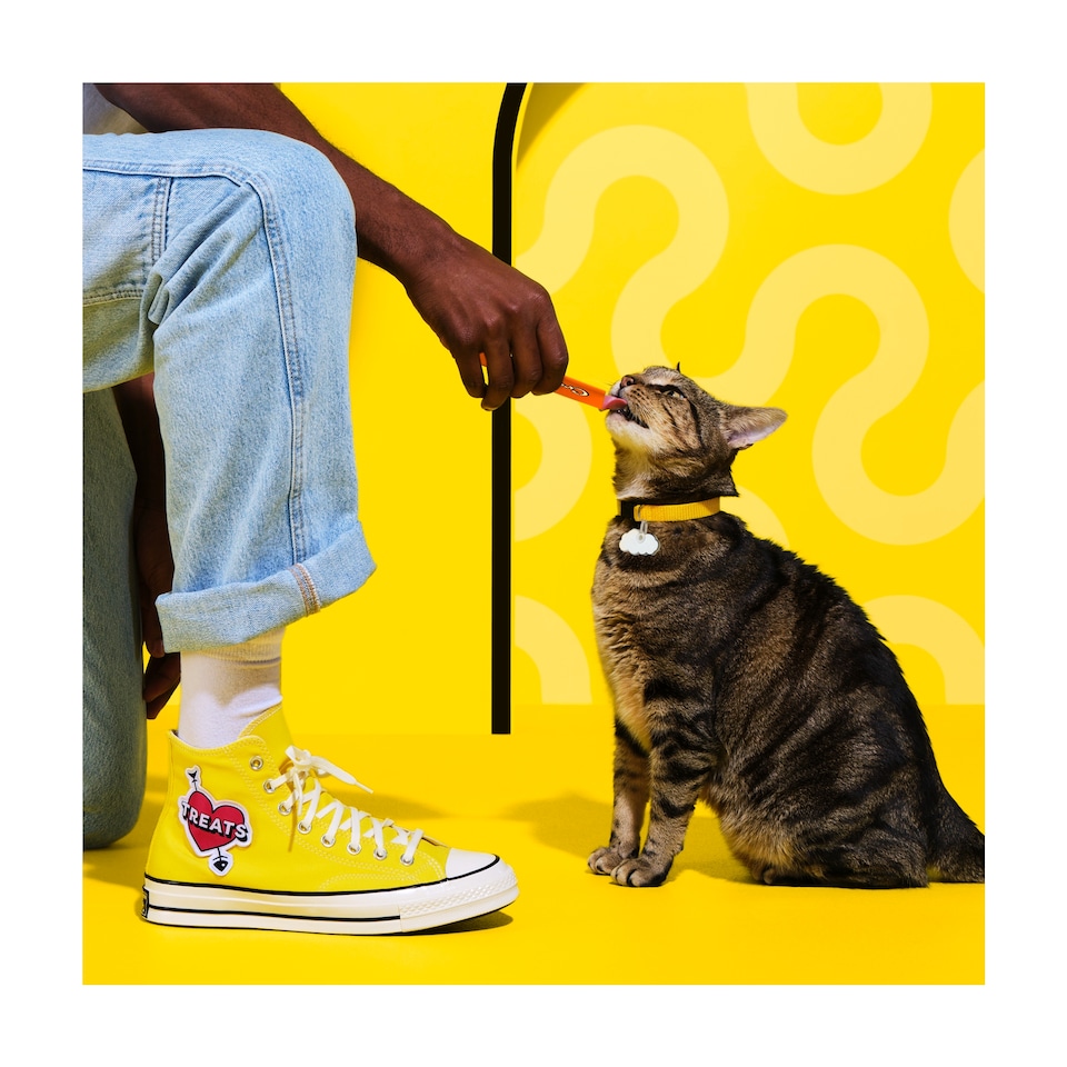 image 1 of DREAMIES Mixed Party Pack Adult  Cat Selection 150g