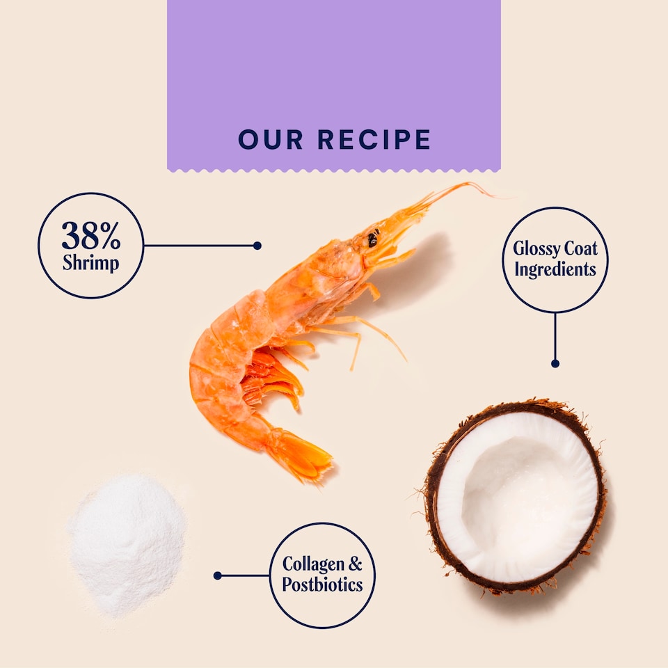 image 1 of Pooch & Mutt Probiotic Meaty Dog Treats - Shrimp & Coconut 120g
