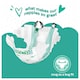 image 2 of Fred & Flo 56 Ultra Dry Nappies Size 3