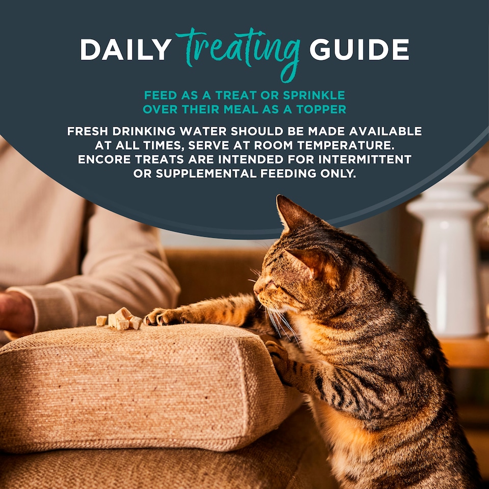 image 1 of Encore Tuna Fillet Freeze Dried Cat Treats 10g