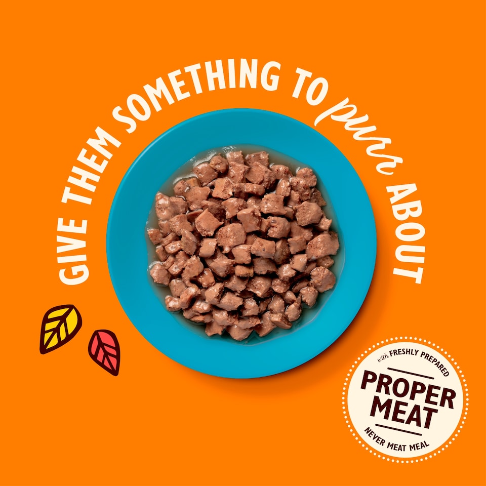 image 1 of Lily's Kitchen Cat Tasty Cuts Mixed Multipack 8X85g