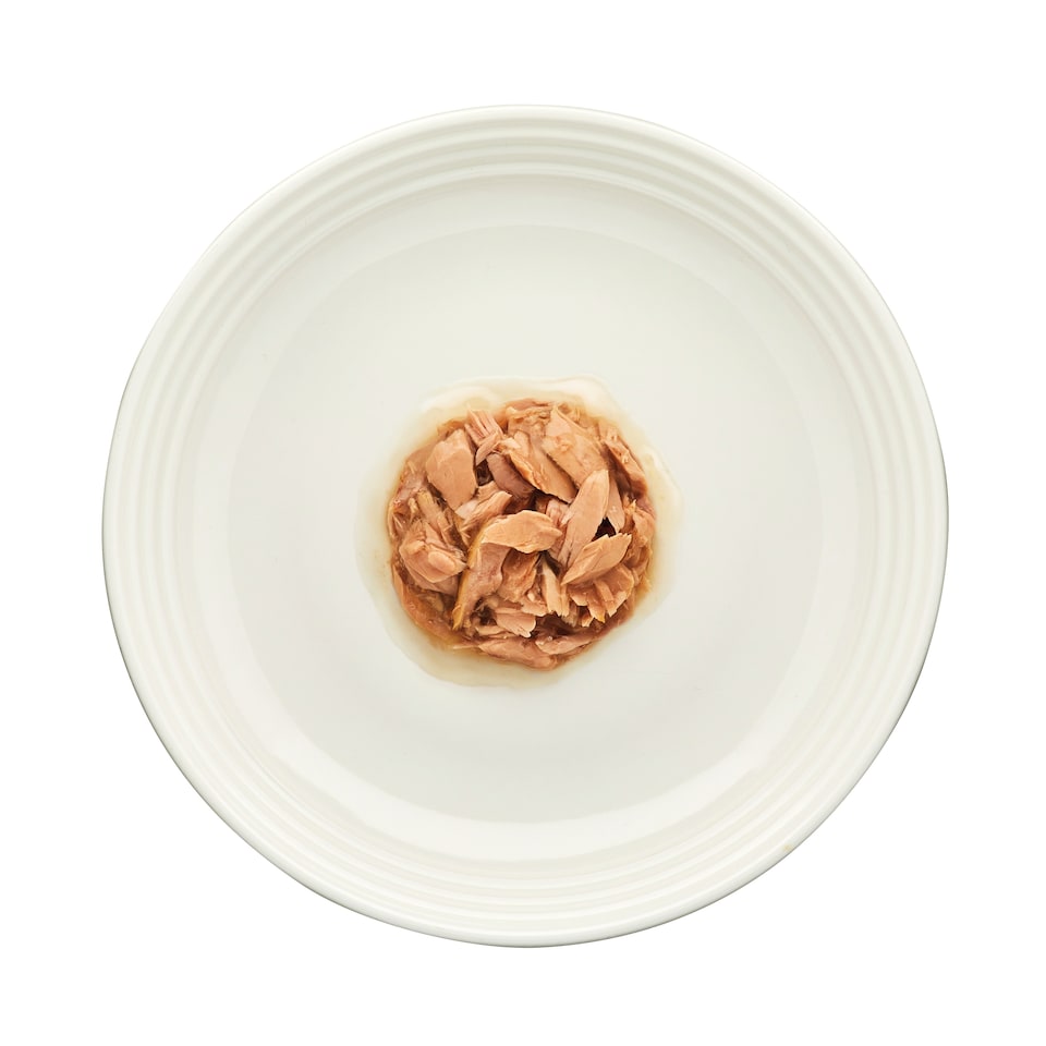 image 1 of Encore Fish Selection In Gravy Cat Food 5 x 50g