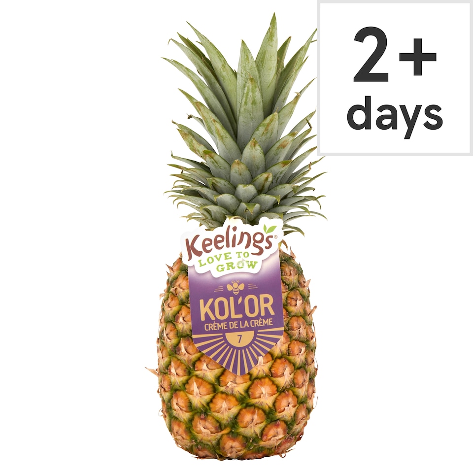 Keelings Gold Extra Large Pineapple