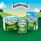 image 5 of Ambrosia Custard Minis 330G