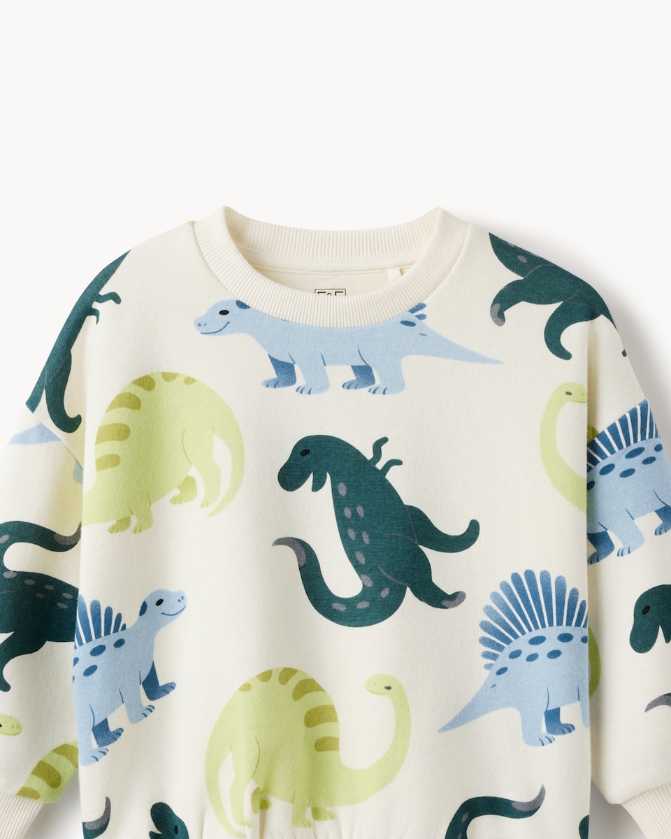 image 1 of F&F Boys Cotton Rich Dinosaur Sweatshirt in Multi
