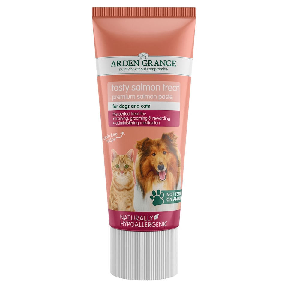 Arden Grange Tasty Salmon Dog Treat 75g