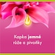 image 2 of Palmolive Aroma Essence Alluring Love Shower Gel 500 ml