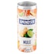 image 2 of Amundsen Mule Gently Sparkling 250ml