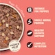 image 3 of Lily's Kitchen Puppy Recipe with Chicken, Potatoes and Carrots 150g 