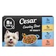 image 1 of CESAR Surf & Turf Wet Dog Food Trays 8 x 150g
