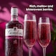 image 5 of Gordon's Sloe Gin Bottle 26% Vol 70Cl