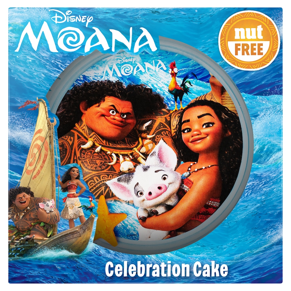 Disney Moana Nut Free Celebration Cake