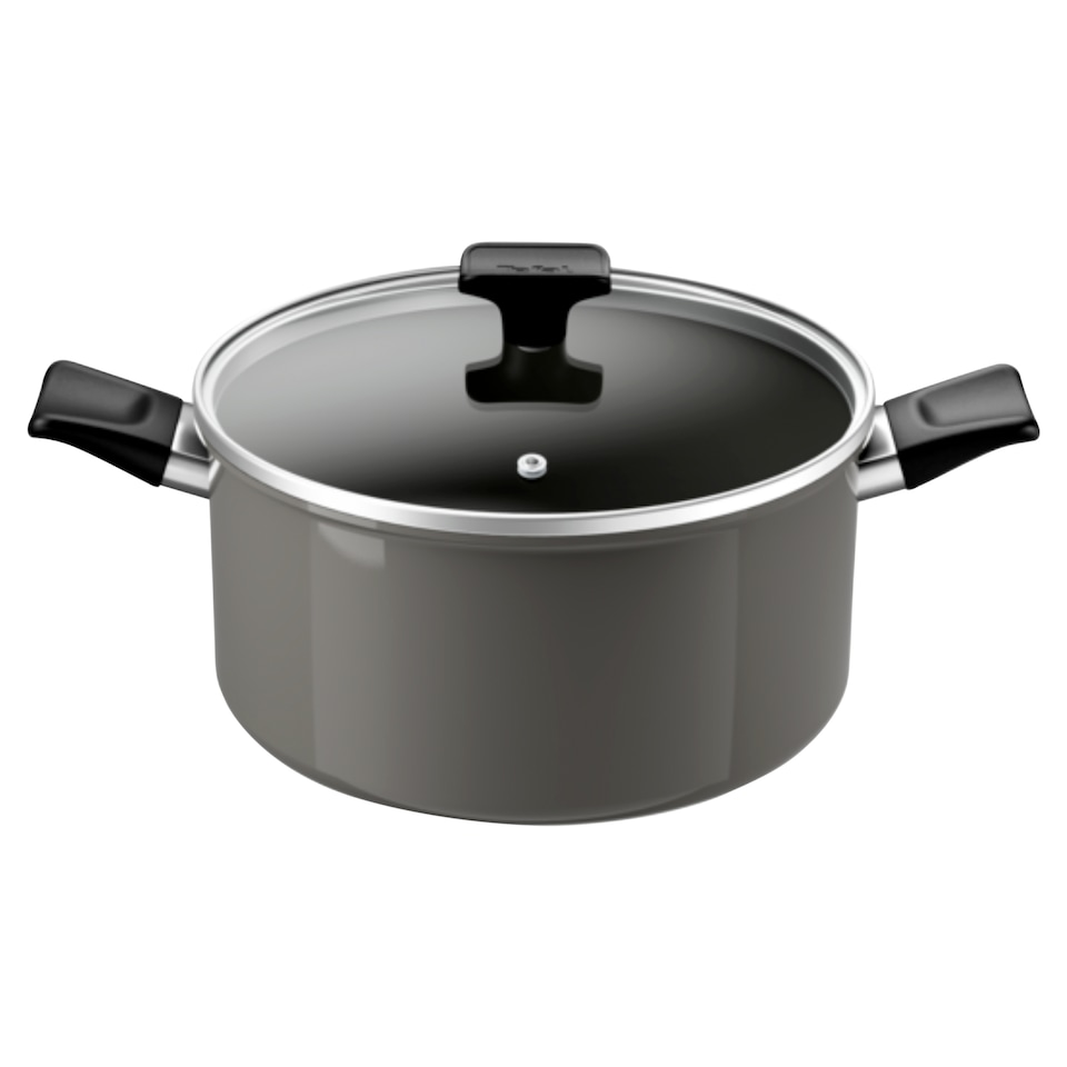 Tefal Change Stewpot with Lid 24cm