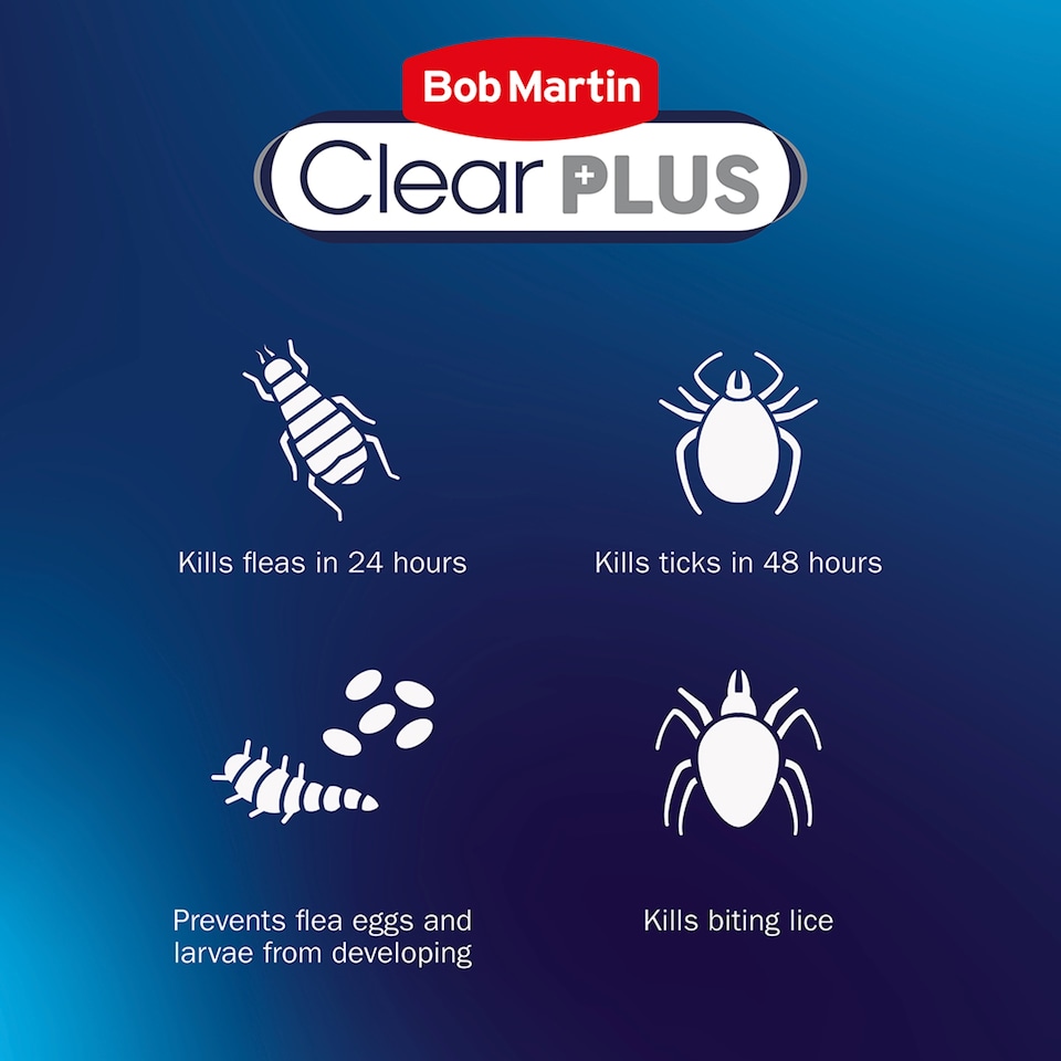 image 1 of Bob Martin Clear Plus Spot On Flea & Tick Cat +1Kg 1 Pipette