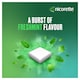 image 4 of Nicorette Freshmint Gum 4mg 210 Pieces