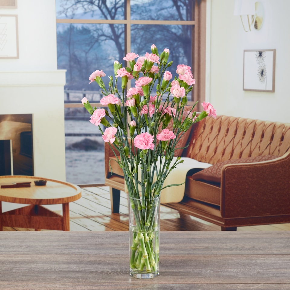 image 1 of Tesco Spray Carnations Flowers Bouquet