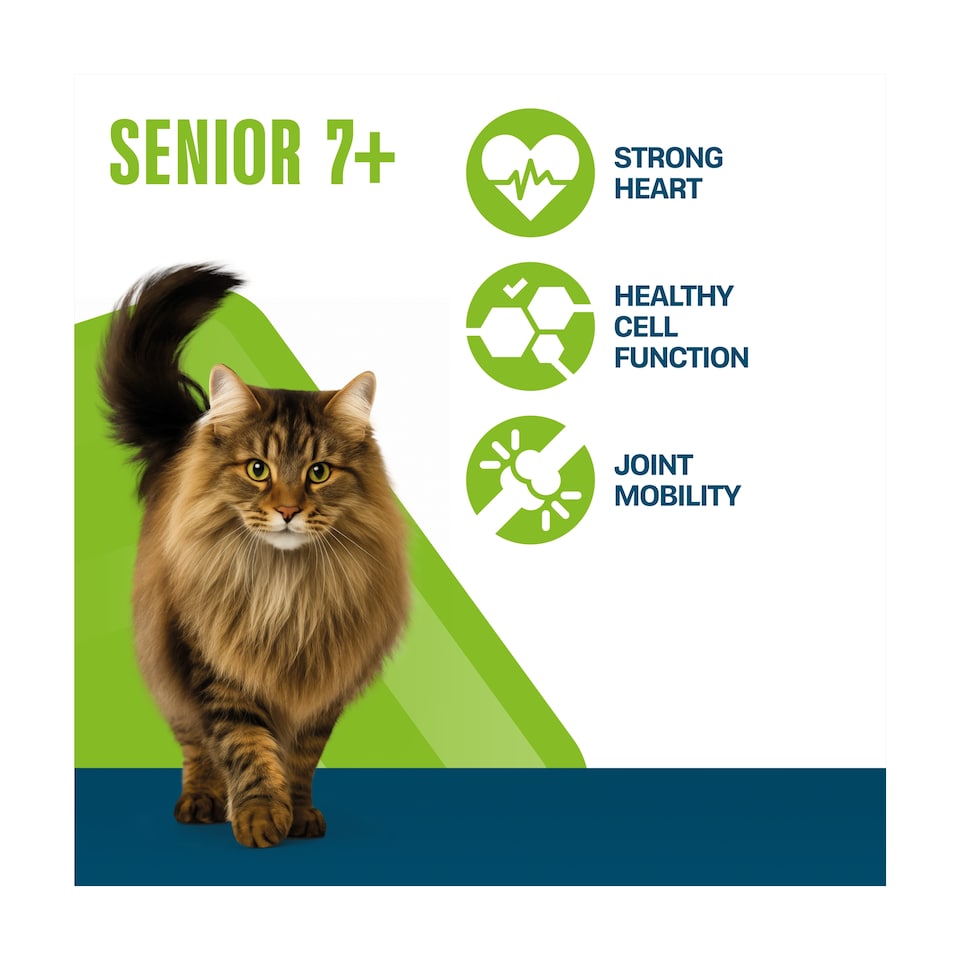 image 1 of PERFECT FIT Cat Complete Dry Food Senior 7+ Chicken 2.8kg