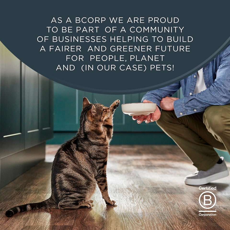 image 1 of Encore Fish Selection In Gravy Cat Food 5 x 50g