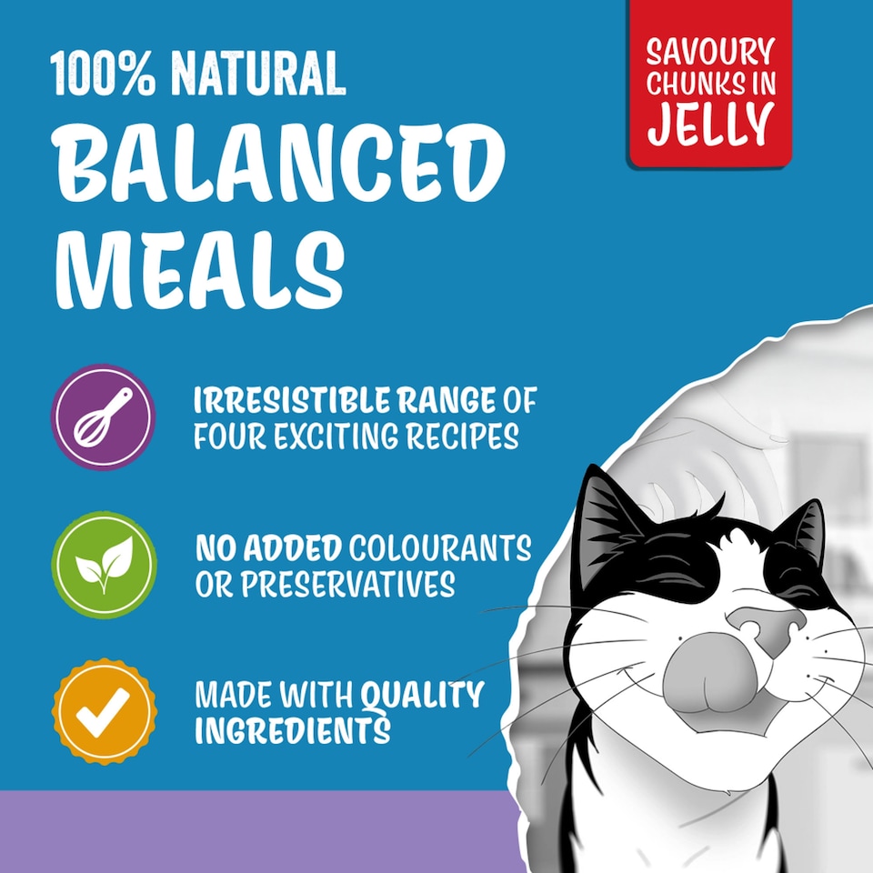 image 1 of FELIX ORIGINAL Senior Mixed Selection in Jelly Wet Cat Food 12x85g
