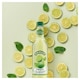 image 2 of Robinsons Crushed Lime & Mint Fruit Cordial 500ml