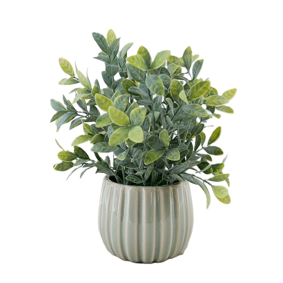 Bayswood flora & Fern Artificial Greenery In Olive Pot