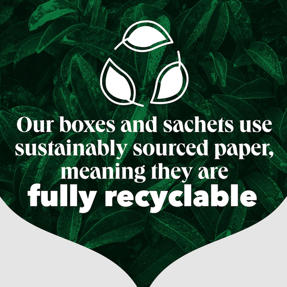 image 1 of PG Tips Original Tea Bags 500 Pack 1.45kg