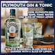 image 4 of Plymouth Gin 70Cl