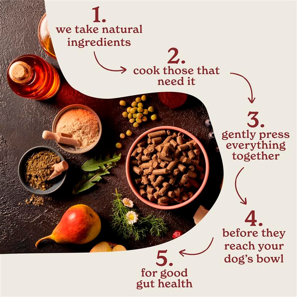 image 1 of Forthglade Coldpressed Grain Free Duck dog Food 2kg