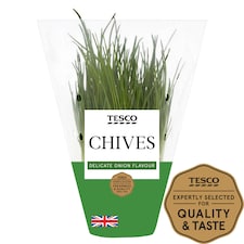 Tesco Bulb Chives Medium Pot