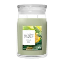 Yankee Candle Signature Large Jar Sage & Citrus 567g