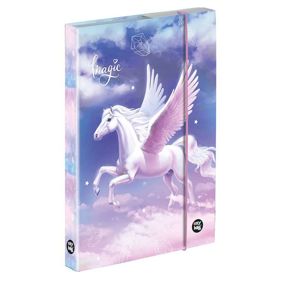 image 1 of Oxybag Girl2 Notebook Holder Box A5