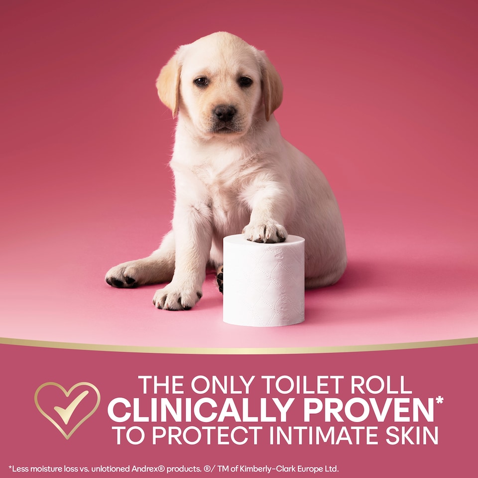 image 1 of Andrex Skin Protect 8 Luxury Rolls 155 sheets