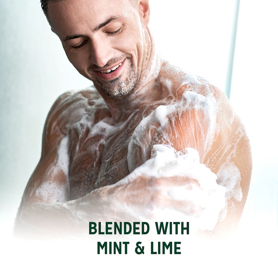image 1 of Radox Mint & Lime Feel Energised Shower Gel 225ml