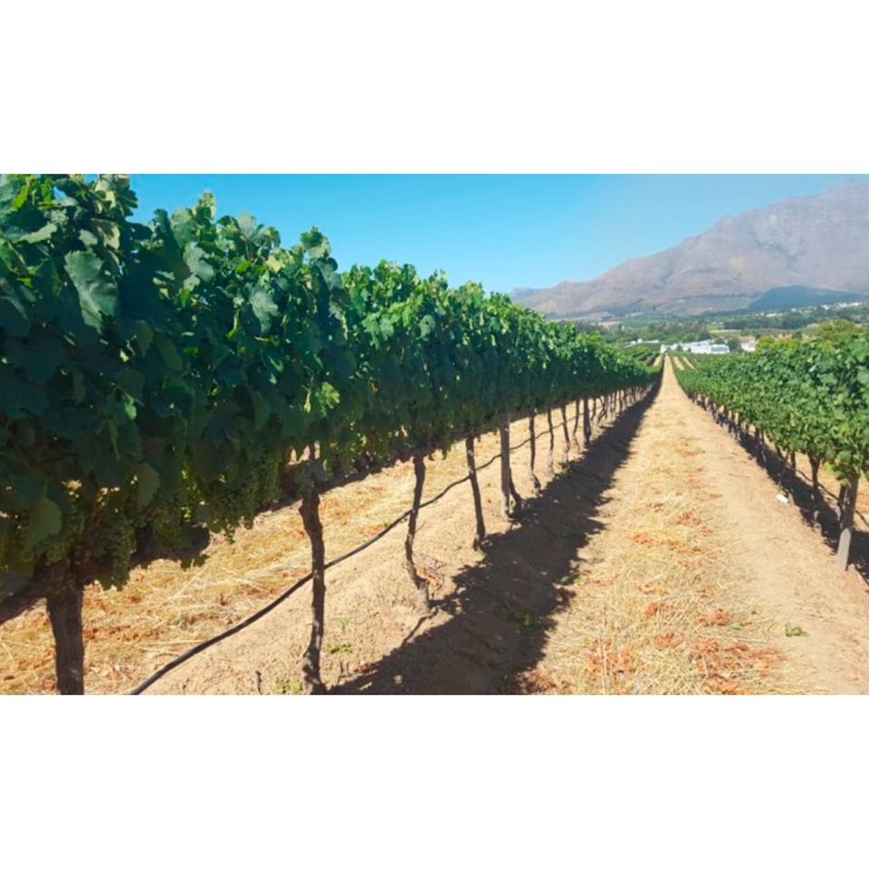 image 1 of Visio Vintners We The People Cape Blend 75cl