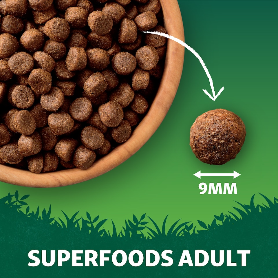 image 1 of Harringtons Superfoods Adult Dog Food - Salmon 1.7kg