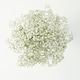 image 3 of Seasonal Fillers