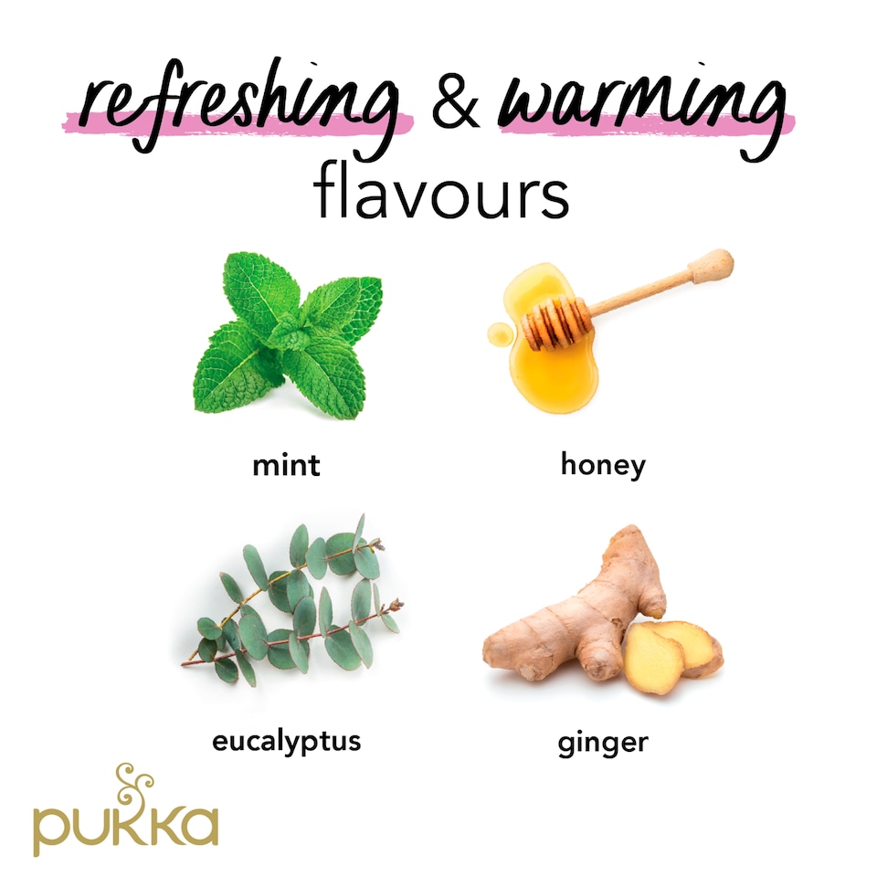 image 1 of Pukka Breathe In Eucalyptus Organic Tea 20 Sachts 38G