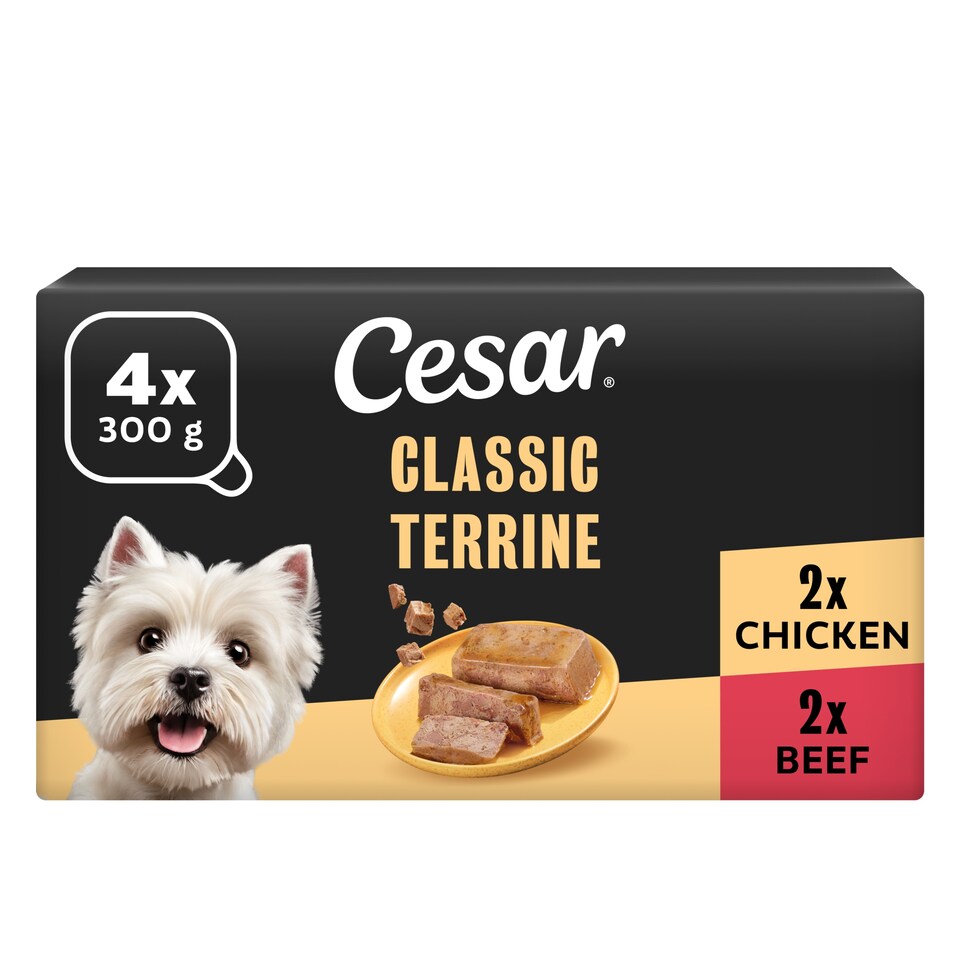 image 1 of CESAR Wet Dog Food Classic Terrine with Chicken in Loaf 4 x 300g