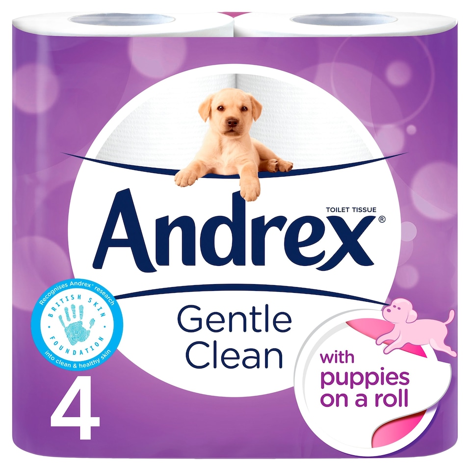 Andrex Toilet Tissue 4 Roll Gentle Clean